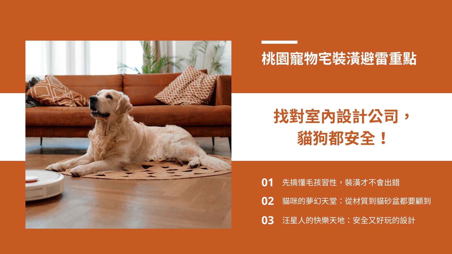 桃園寵物宅裝潢避雷重點：找對室內設計公司，貓狗都安全！